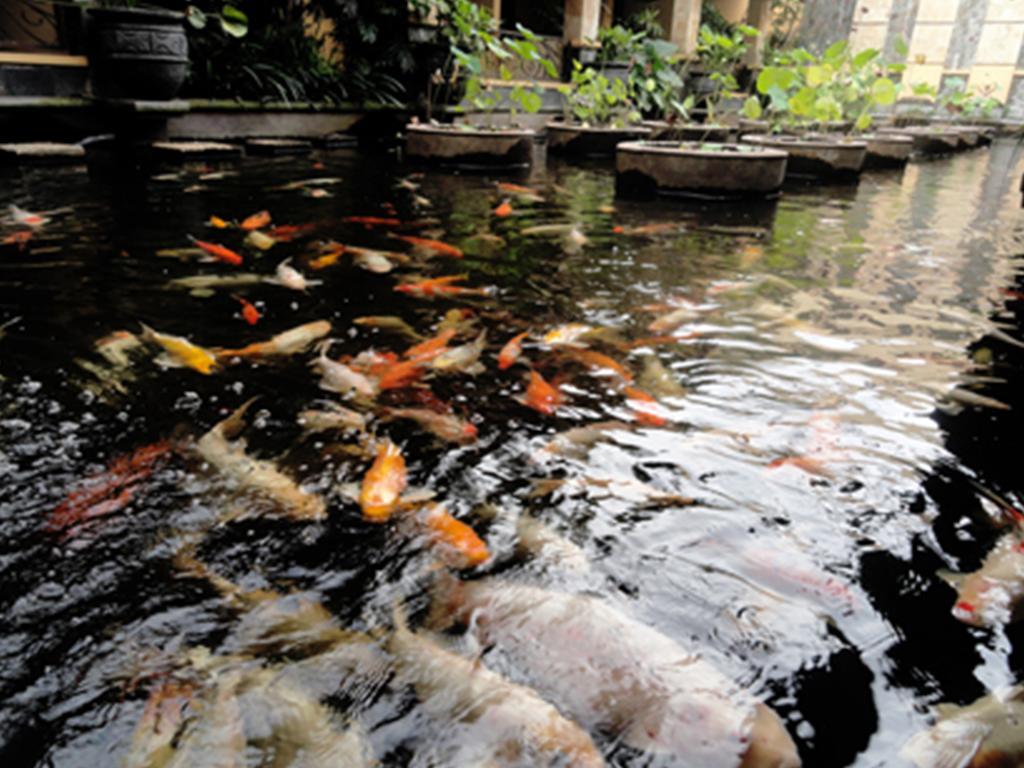 Lotus Garden Hotel Kediri  Exterior photo